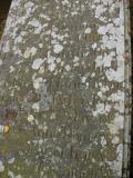 image of grave number 40155